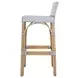 Serienna White and Gray Bar Stool