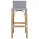 Serienna Gray and White Bar Stool
