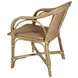 Portofino Natural Brown Arm Chair