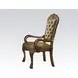 Dresden Gold Patina Upholstered Arm Chair with Nailhead Trim Set of 2