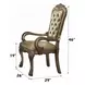 Dresden Gold Patina Upholstered Arm Chair with Nailhead Trim Set of 2