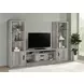 Burke Grey Driftwood TV Console