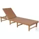 Breath Brown Adjustable Back Outdoor Chaise Lounge