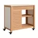 Valtan Natural and White Outdoor 1 Door Bar Cart