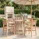 Mizuya Brown Outdoor Dining Chair