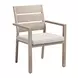 Reefline Gray Upholstered Outdoor Dining Chair Set of 2