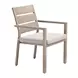 Reefline Gray Upholstered Outdoor Dining Chair Set of 2