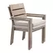 Reefline Gray Upholstered Outdoor Dining Chair Set of 2