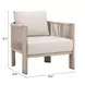 Sunlit Gray Upholstered Outdoor Springs Accent Chair