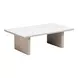 Seaborn White and Brown Outdoor Rectangular Sintered Stone Top Coffee Table