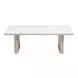 Seaborn White and Brown Outdoor Rectangular Sintered Stone Top Coffee Table