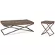 Cambria Bronze and Brown Glass Top Occasional Table Set