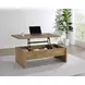 Canoga Mango Rectangular Lift Top Coffee Table