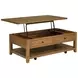 Payne Distressed Brown Rectangular Lift Top Coffee Table
