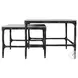 Ebby Antique Black 2 Piece Marble Top Nesting Occasional Table Set