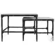 Ebby Antique Black 2 Piece Marble Top Nesting Occasional Table Set