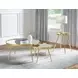 Kaelyn Gold 2 Piece Nesting Coffee Table