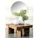Skeet Natural Sheesham Coffee Table