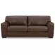 Creazzo Canyon Leather Living Room Set