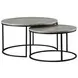 Lainey Grey And Gunmetal 2 Piece Nesting Coffee Table