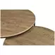 Lainey Mango Round Nesting Coffee Table Set of 2