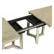 Proximity Place Barley Buff 100" Extendable Rectangular Dining Table