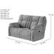 Wild Card Bahari Platinum 68" Reclining Loveseat