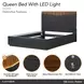 Kayner Charcoal Queen Platform Bed with LED and USB Charging