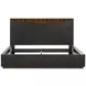 Kayner Charcoal King Platform Bed with LED and USB Charging
