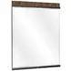 Kayner Charcoal Rectangular Dresser Mirror with LED