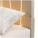 Lotus Bay Sand Queen Panel Bed with LED and USB Charging