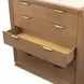 Portrait Sienna Brown 5 Drawer Chest with LED