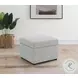 Winter Gray Hydraulic Lift Top Storage Ottoman