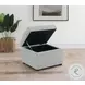 Winter Gray Hydraulic Lift Top Storage Ottoman