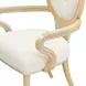 Camellia Field Cornsilk Upholstered Dining Arm Chair Set of 2