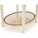 Camellia Field Caramel Oval End Table with Drawer