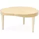 Camellia Field Caramel Free Form Occassional Table Set