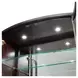 Camellia Field Warm Pecan 2 Door Display Cabinet