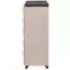 Fantosini Silver Mist 10 Drawer Mule Chest