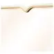 Scotts Square Light Champagne and Gold Rectangular Dresser Mirror