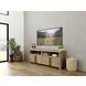 Davie Pale Oak 74" TV Stand
