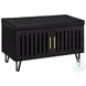 Brixton Black Entryway Shoe Storage Bench