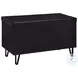 Brixton Black Entryway Shoe Storage Bench