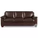 Ironvale Chestnut Leather Living Room Set