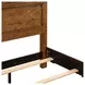 Carolina Park Amber Brown King Panel Bed