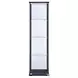 Cyclamen Black And Clear Small Curio Cabinet