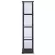 Cyclamen Black And Clear Small Curio Cabinet