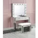 Noralie Silver Rectangular Wall Mirror with Light