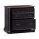 Roanoke Black File Cabinet