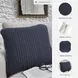 Renemore Blue Pillow Set of 4